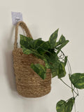 Handwoven Premium Jute Storage Basket – Elegant Home Décor & Organizer