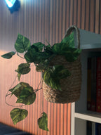 Handwoven Premium Jute Storage Basket – Elegant Home Décor & Organizer